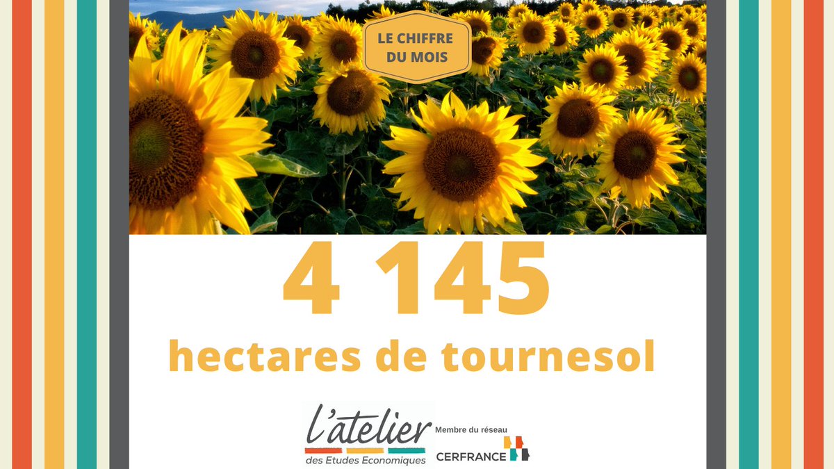 L’Atelier des études - AEE tweet media