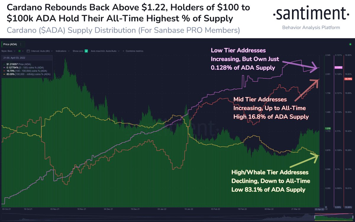 🦈📊 #Cardano jumped back above $1.22, and supply is moving out of $100k+ $ ADA addresses. The low-mid and high-mid tiers are the group accumulating  consistently, and these 100 to 100k $ADA holders