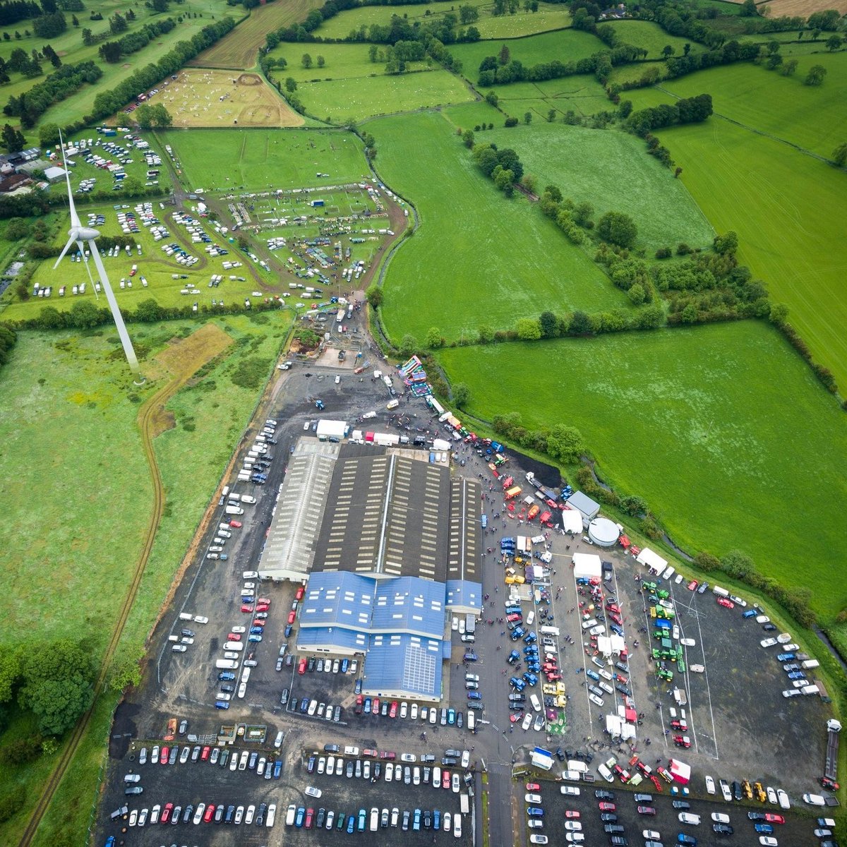 Showing Scene tweet media