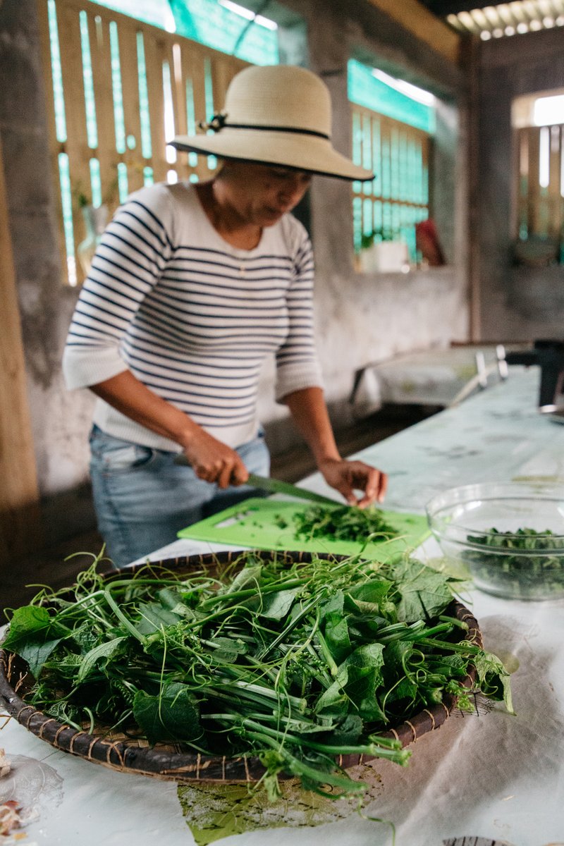 ReunionTourisme's tweet photo. 🌿🍲Trier, préparer, cuisiner les brèdes...👒
Un rituel ancestral dans les cuisines réunionnaises. 

#reuniontourisme #ileintense #lareunion #gotoreunion https://t.co/VkwEogBJFi