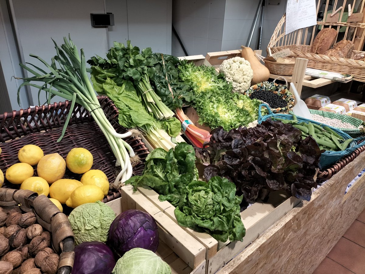 unai_ugarte's tweet photo. 🌱Agricultores y ganaderos de la Asociación #Soloko abren un punto de venta diario en la plaza de abastos de #Durango ☘️

Nuevas iniciativas del sector primario en Durangaldea

🎙️ #LurBizia @radioeuskadi y @radio_vitoria ▶️

https://t.co/hvkB1i8wPH https://t.co/Qc5DAFlJ3E