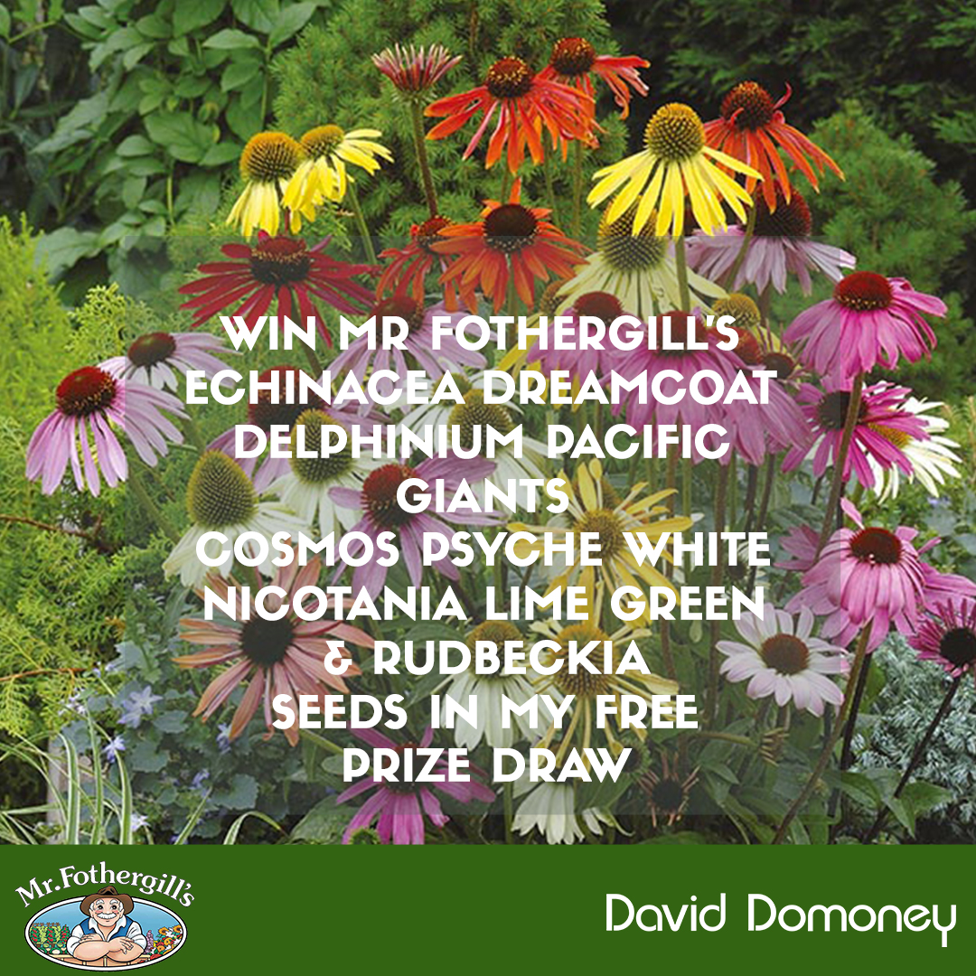 daviddomoney's tweet photo. #Follow #RT &amp; comment #WinWithDavidDomoney

For your chance to win 5 packets of beautiful plant seeds courtesy of @mrfothergill  

Closes 10/04/22 at 11:59PM
UK Residents Only
T&amp;C's Apply

#paidpartnership #winitwednesday #freebiefriday https://t.co/79u9DQ6exE