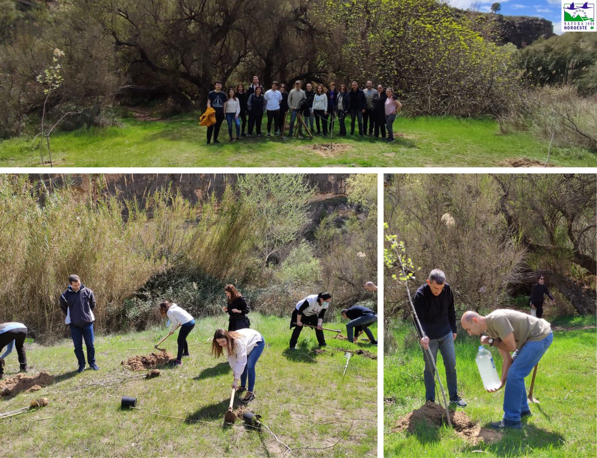 RedNNoroesteMur's tweet photo. 😃 Jornada de #voluntariado en el #CañónDeAlmadenes 🙌🙌. El personal de @superia_es realizó el descenso del río, junto a #CañonyCañonMultiaventura, donde recogieron residuos y plantaron 15 árboles en la ribera 👏👏
#TuHuellaCuenta #CeroPlásticos
¡Gracias por vuestra implicación! https://t.co/ma6dtUNbqj