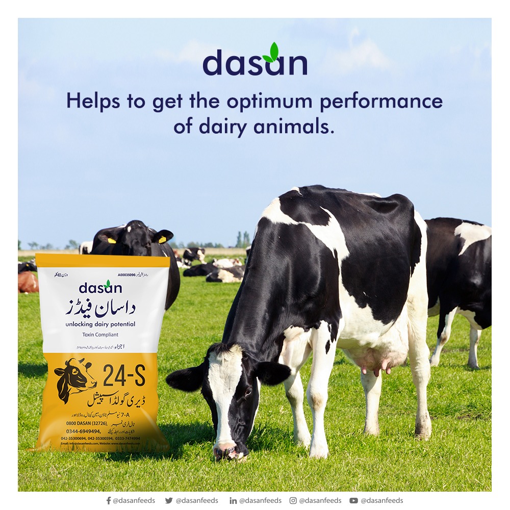 24-S Dairy Gold Special
Helps to get the optimum performance of dairy animals.

#Dasan #DasanFeeds #cattlefeed #dairyfeed #DairyGold #DairyHD https://t.co/XF1wy8ddmP