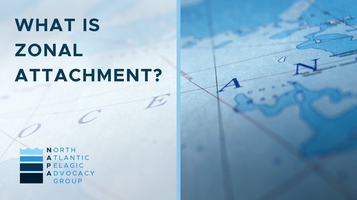 NAPAfisheries's tweet photo. Under #ZonalAttachment, @ICES_ASC scientists work out what percentage of shared stocks are ‘attached’ to each country’s EEZ. It is thought that #CoastalStates could then each be allocated quotas, at least partly, in line with their unique percentage. https://t.co/sza4WsdEOd