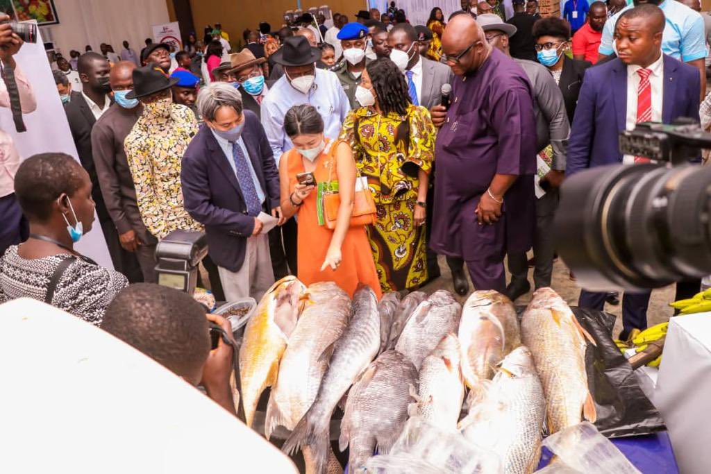 yeripros's tweet photo. Bayelsa boasts of over 200 species of fish and they can be found in the waters within and around the State. Investors can take advantage of this.
#DestinationBayelsa https://t.co/H7ZPn08Opj
