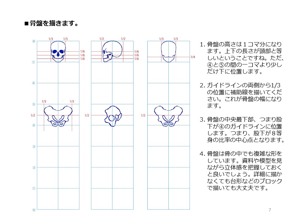 簡単マスター人体三面図(3/13)
八頭身用のコマを描き、補助線を引きながら骨格を描ていきます。1コマが頭の高さになり、頭の幅はその3分の2コマになります。骨盤の幅は3分の4コマ、股下は中央、背骨は頭蓋骨の真下から描いていきます。
PDF版のDLはこちら。
https://t.co/i3cTwr6lBS