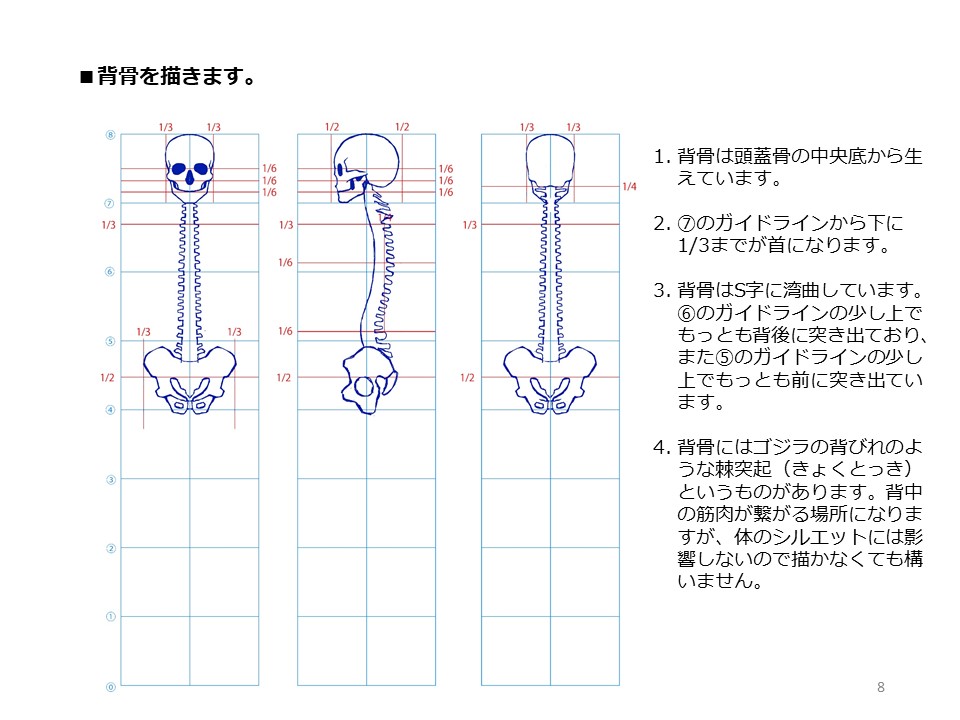 簡単マスター人体三面図(3/13)
八頭身用のコマを描き、補助線を引きながら骨格を描ていきます。1コマが頭の高さになり、頭の幅はその3分の2コマになります。骨盤の幅は3分の4コマ、股下は中央、背骨は頭蓋骨の真下から描いていきます。
PDF版のDLはこちら。
https://t.co/i3cTwr6lBS
