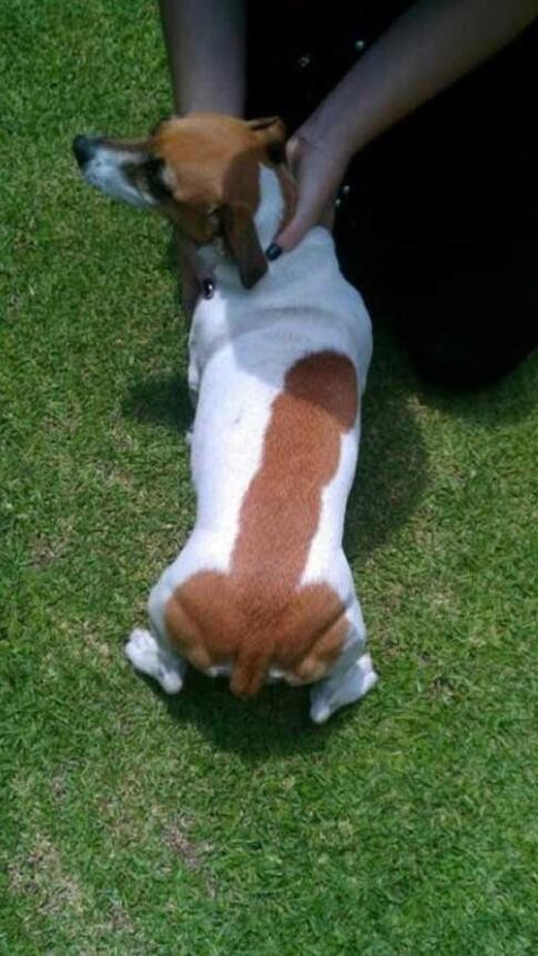 droledebuzz's tweet image. que la nature est coquine :))