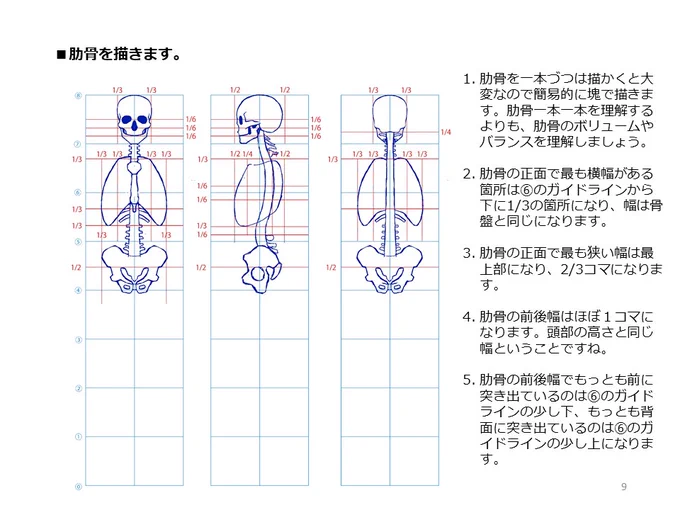 簡単マスター人体三面図(4/13)

肋骨の幅は腰と同じです。鎖骨と肩甲骨は外側で繋がっておりセットで可動します。上腕骨の肘部分は肋骨より少し下に位置します。

PDF版のDLはこちら。
https://t.co/i3cTwr6lBS 