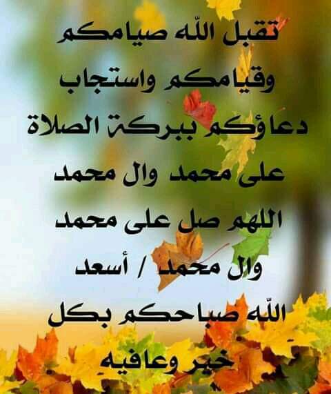 ياسين السراي (@yasenalsray) on Twitter photo 