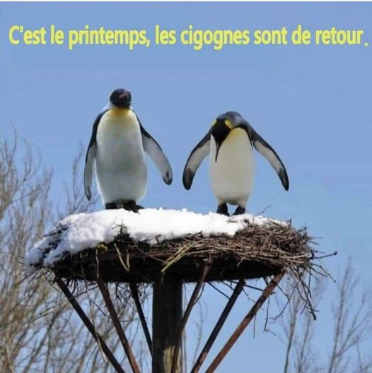 Dominique Bouladou (@bouque901) on Twitter photo 
