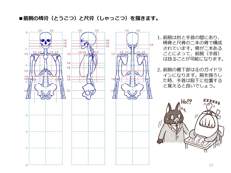 簡単マスター人体三面図(5/13)
前腕は2本の骨で構成されていますので捻ることが可能です。手首は股下に位置し、掌は顔(顎からおでこまで)と同じくらいの大きさです。大腿骨は脛より長いです。
PDF版のDLはこちら。
https://t.co/i3cTwr6lBS