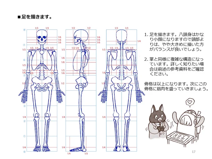 簡単マスター人体三面図(6/13)

足は頭より少し大きめに描きます。骨格は完成です。そして筋肉を描いていきます。筋肉は骨のどこからどこへと繋がっているのかを理解しながら描いていきます。大胸筋は肋骨と鎖骨から上腕骨の上部に繋がっています。

PDF版のDLはこちら。
https://t.co/i3cTwr6lBS 