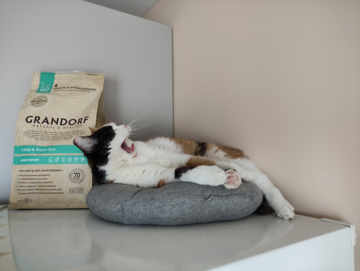 Я тоже всё утро зеваю.