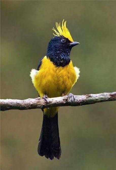 saattooran's tweet photo. @Raindrops2016 @Lakshmivva1 வணக்கம் சாரல் https://t.co/3yaL2Wfenq