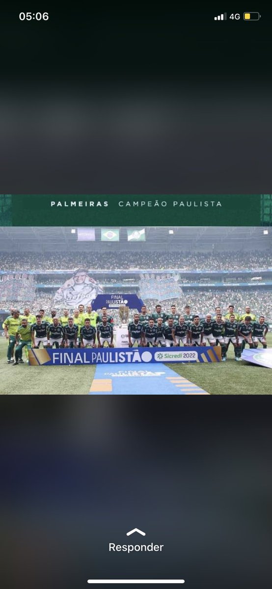 Mk_Sep1914's tweet photo. Nunca subestime o GIGANTE chamado PALMEIRAS 🟢⚪️🏆 #Choramasrosas #trikas https://t.co/hHlnMn0Z9q