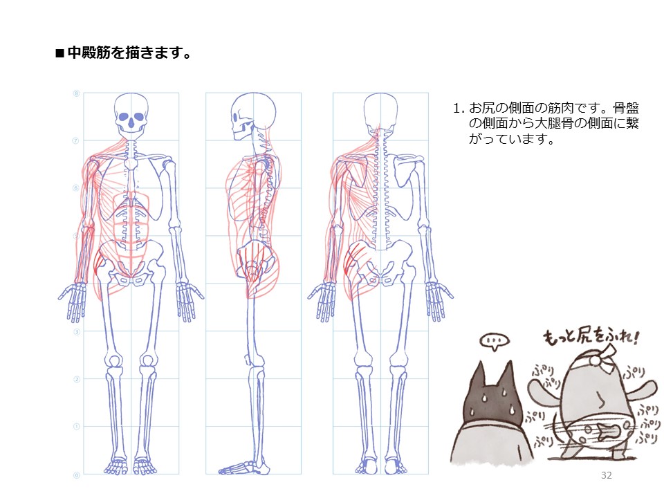 簡単マスター人体三面図(9/13)
肩甲骨からあばら骨に繋がっている前鋸筋を描きます。肩甲骨には様々な筋肉が繋がっていることをご理解いただけたと思います。そして、お尻の筋肉を描いていきます。
PDF版のDLはこちら。
https://t.co/i3cTwr6lBS
