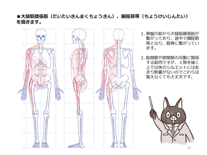 簡単マスター人体三面図(10/13)

腿の側面、裏側の筋肉を描き、そして正面側の筋肉も描いていきます。

PDF版のDLはこちら。
https://t.co/i3cTwr6lBS 