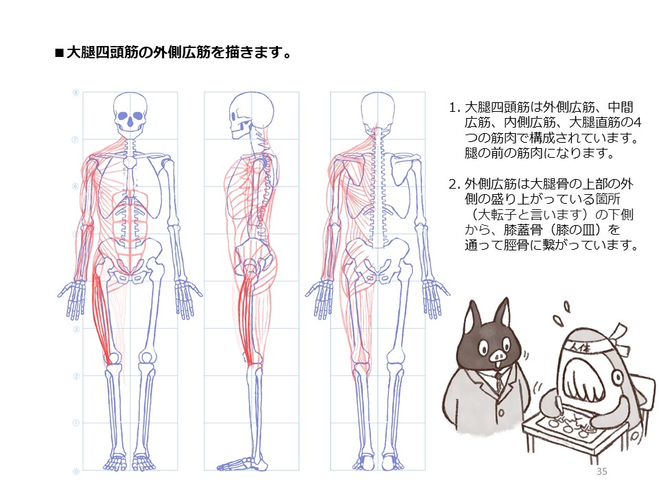 簡単マスター人体三面図(10/13)
腿の側面、裏側の筋肉を描き、そして正面側の筋肉も描いていきます。
PDF版のDLはこちら。
https://t.co/i3cTwr6lBS