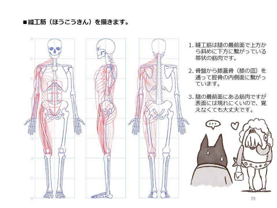 簡単マスター人体三面図(11/13)
引き続き、腿の正面側、そして内側の筋肉も描いていきます。
PDF版のDLはこちら。
https://t.co/i3cTwr6lBS