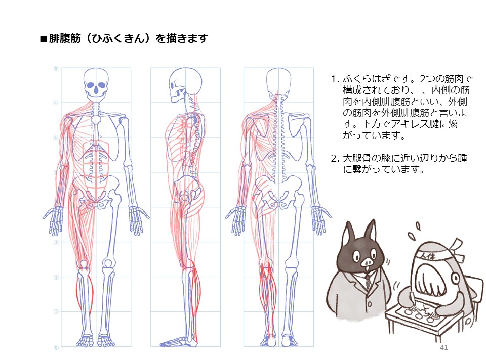 簡単マスター人体三面図(12/13)
フクラハギの筋肉などを描いて完成です…!お疲れ様でした!
PDF版のDLはこちら。
https://t.co/i3cTwr6lBS