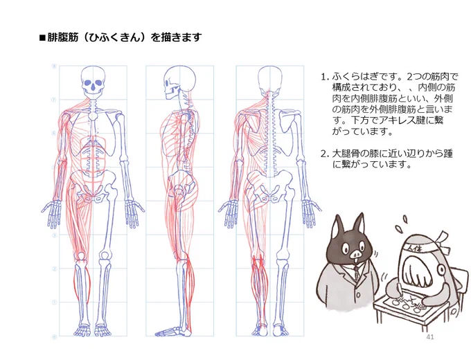 簡単マスター人体三面図(12/13)

フクラハギの筋肉などを描いて完成です…!お疲れ様でした!

PDF版のDLはこちら。
https://t.co/i3cTwr6lBS 