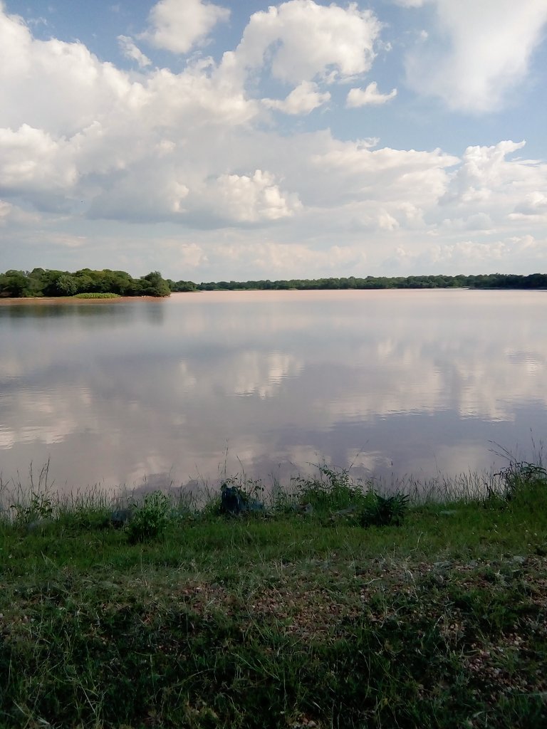 British Poet W.H.Auden " Thousands have lived without love , not one without water" Yet while we all know water is a crucial for life , we pollute it anywhere.
#Stopwaterpollution
#letskeepwaterclean
<a href="/basera_john/">John Basera</a> <a href="/MoLAFWRD_Zim/">MinofLands,Agric,Fisheries,Water&Rural Development</a> <a href="/zinwawater/">ZINWA</a> <a href="/ymangilazi/">yasin mangilazi</a>