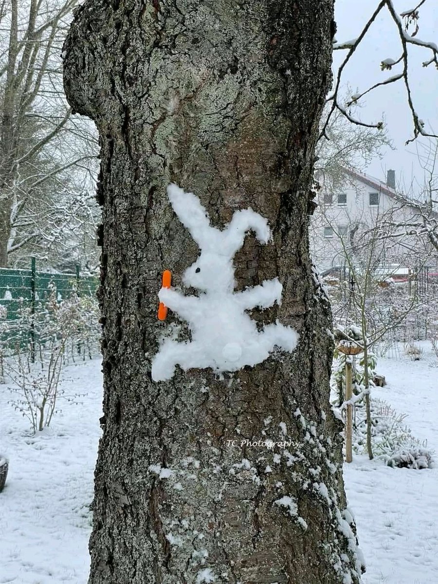 Markus Ridderbusch🌈🏳️‍🌈😃☘❤☮🇪🇺 (@markusridderbu7) on Twitter photo 