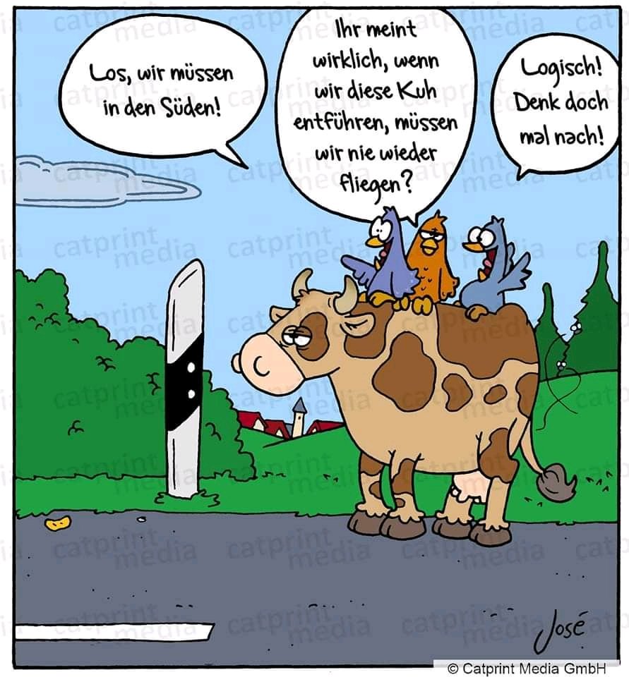 Markus Ridderbusch🌈🏳️‍🌈😃☘❤☮🇪🇺 (@markusridderbu7) on Twitter photo 