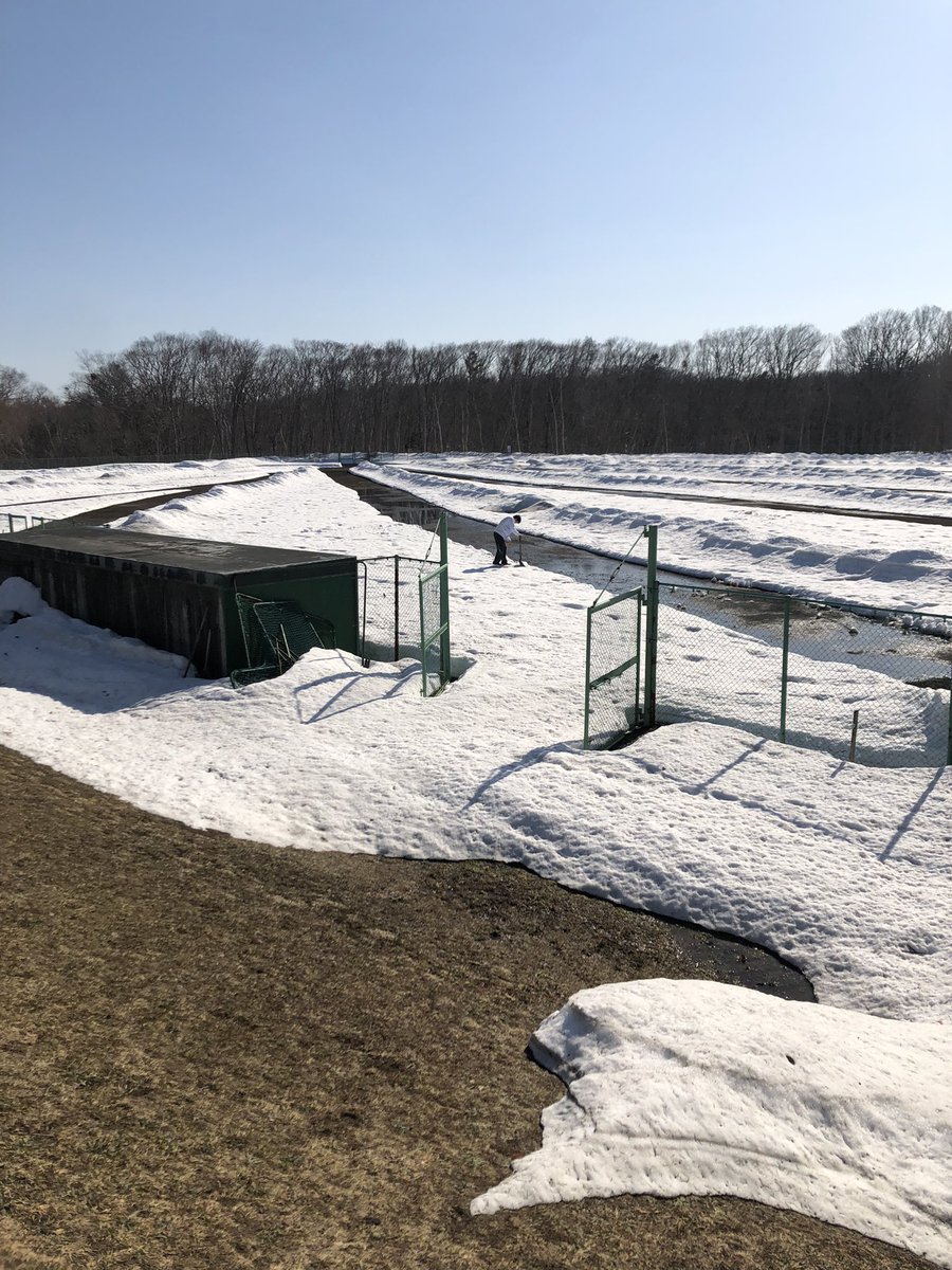 RGUbbc's tweet photo. 明日は入学式です！
多くの新入生の顔を見るのが楽しみです！硬式野球部でもビラを配るので受け取ってください！皆さんの入部お待ちしております！

グラウンドにはまだ多くの雪が残っております。頑張って雪割りをしています。はやく野球やりたいですね！ https://t.co/tEhzUudp6d
