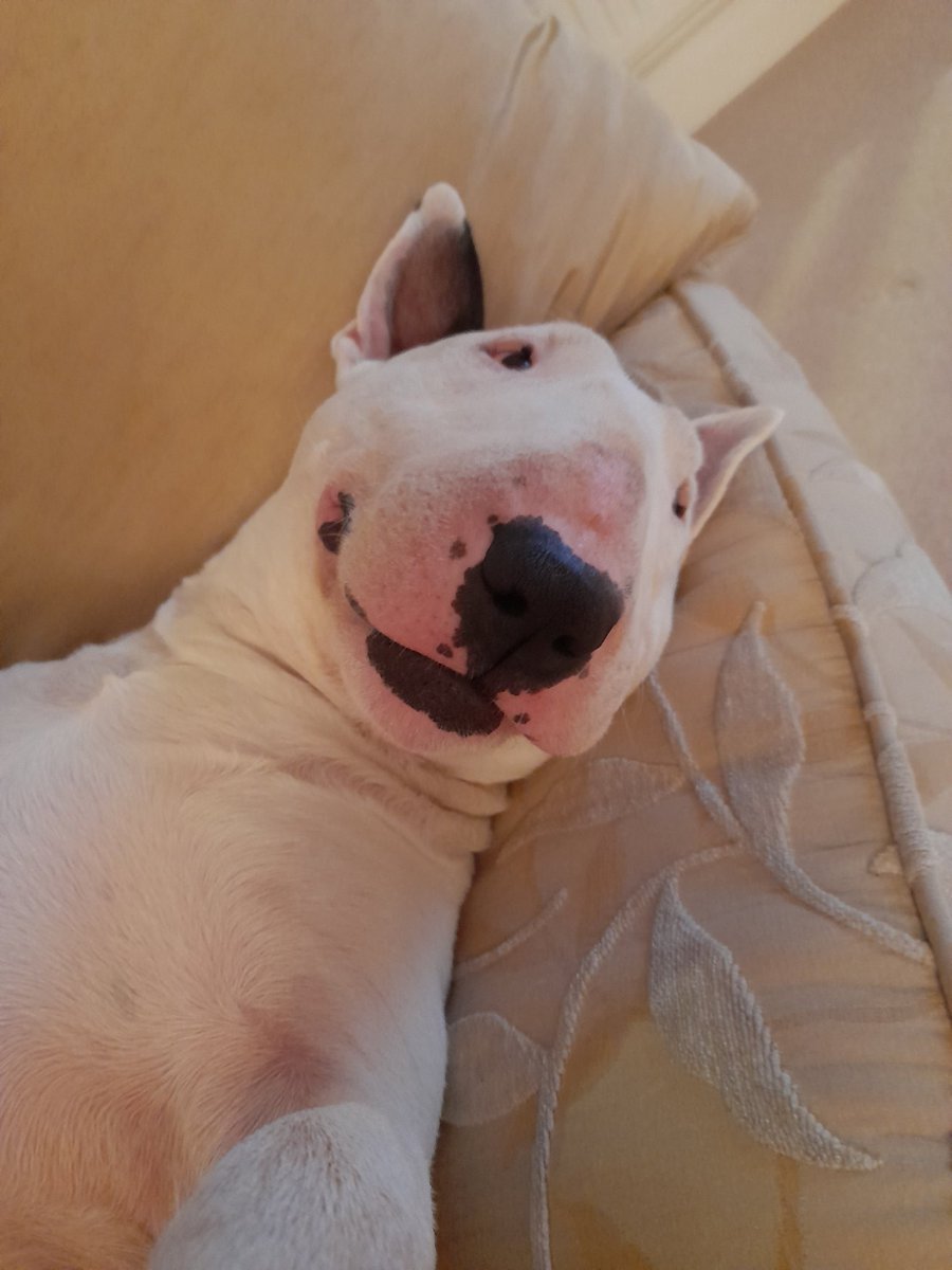 Lisa.Hayes tweet media