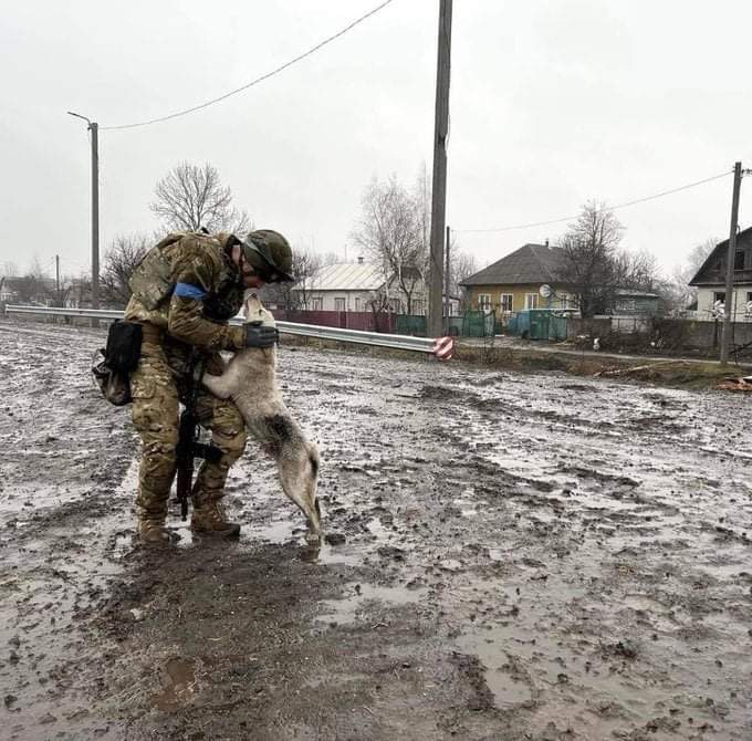 FPfIAwQWQAcwNR5?format=jpg&name=small