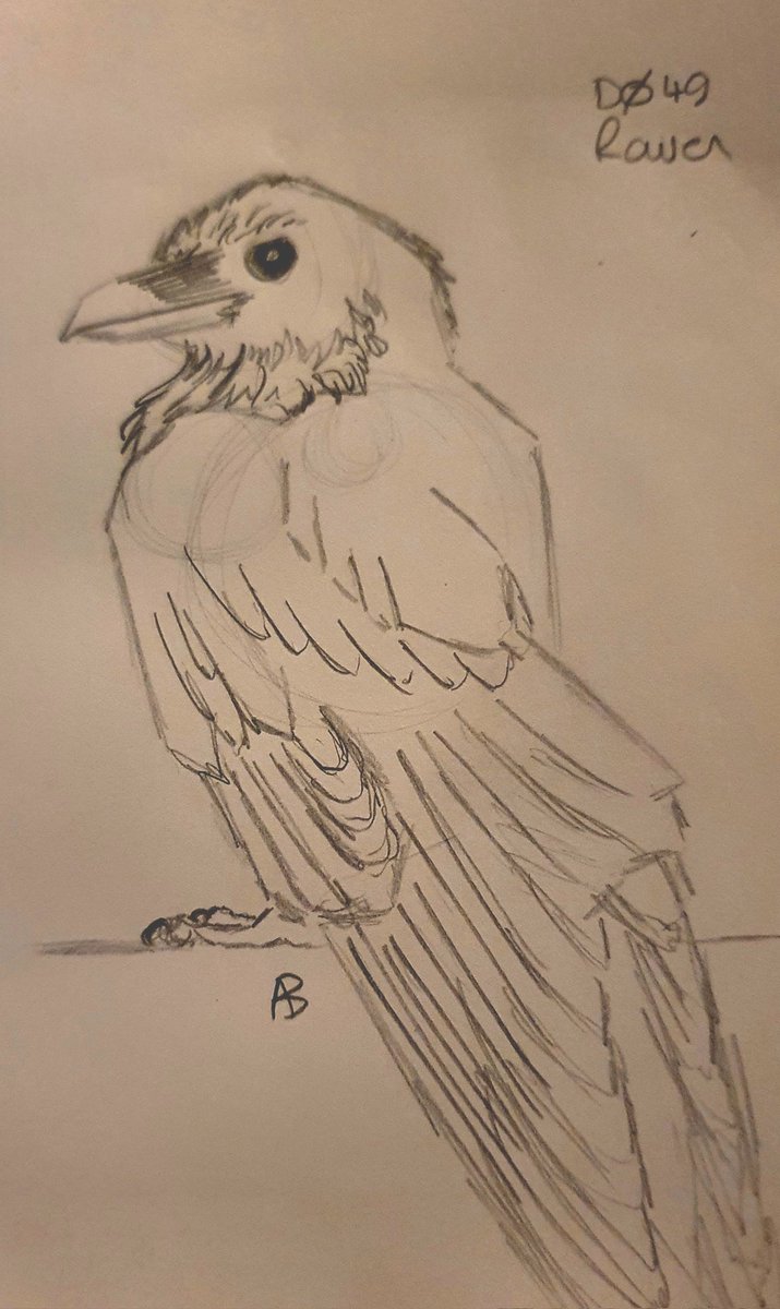 cunningartfolk's tweet photo. #phonedied - here is Day 49 of #100DaysOfCorvids for #The100DayChallenge - a #Raven resting his wings https://t.co/fkcHojVRsM