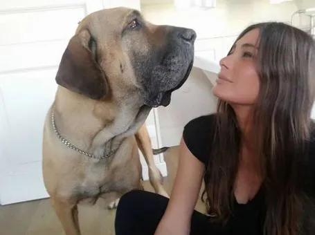 contattogiorgi's tweet photo. NavigAttori, Santi (Forse), Poeti: Pensieri Dedicati. #RiPartenze...C’è poco spazio per l’amore, tra una chiamata telefonica, un viaggio... https://t.co/HGWf7bxatf https://t.co/KbjLBlLG6s