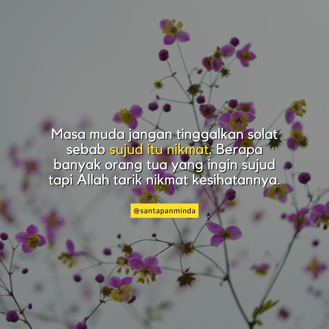 SantapanMinda's tweet photo. https://t.co/kScFodn7MK