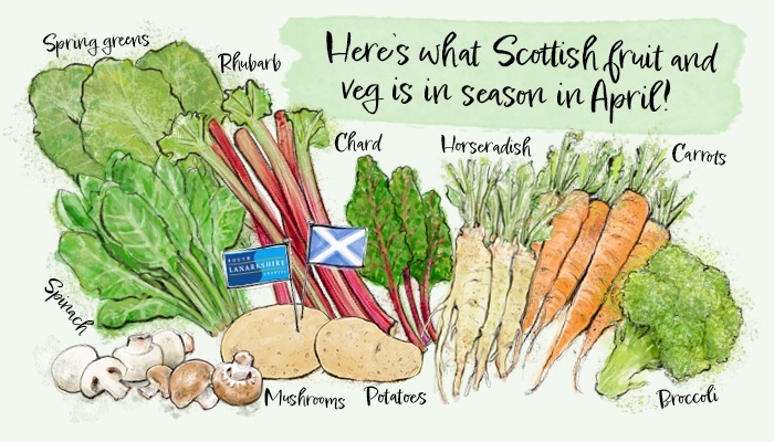 SouthLanCouncil's tweet photo. Here’s what Scottish fruit and veg is in season in April and Spring is definitely in the air with spring onions, spring greens, purple broccoli, rhubarb and more. https://t.co/ccj06vtpU4