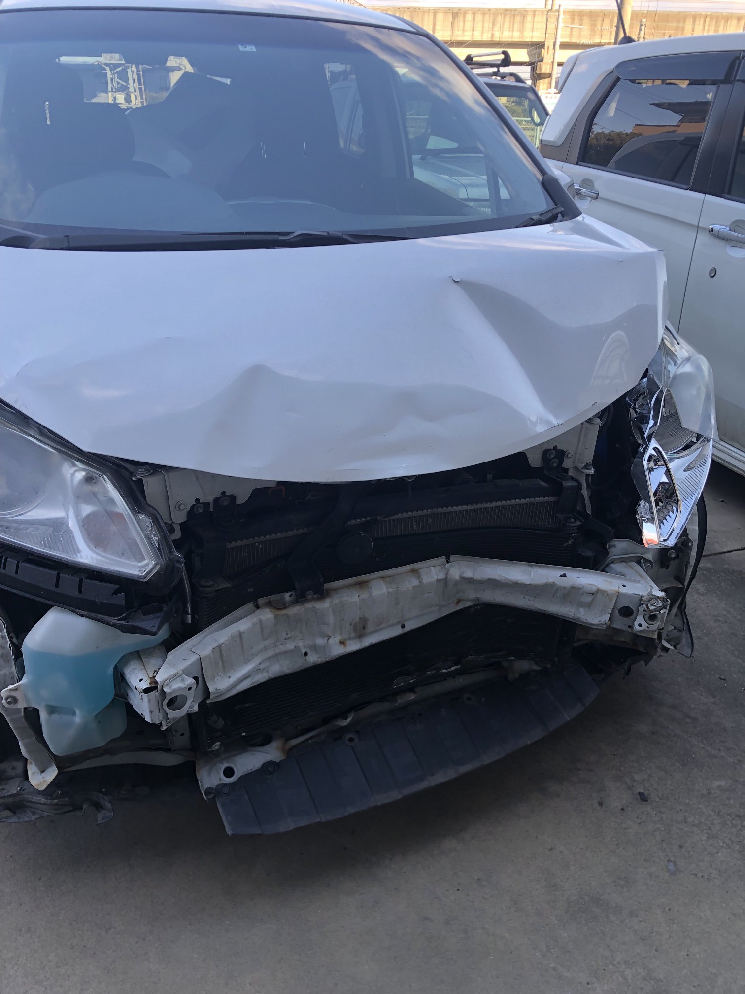 تويتر 水稲部の作業日誌 على تويتر たっちのお母さん乗ってた白い車 ホンダ フリード 2月にぶつけられて 全損してしまった なので カタログの水色の車 トヨタ ライズ 買うよ たっちはバカ息子で親に迷惑ばかりかけてきたから 親孝行しないと 頑張っ
