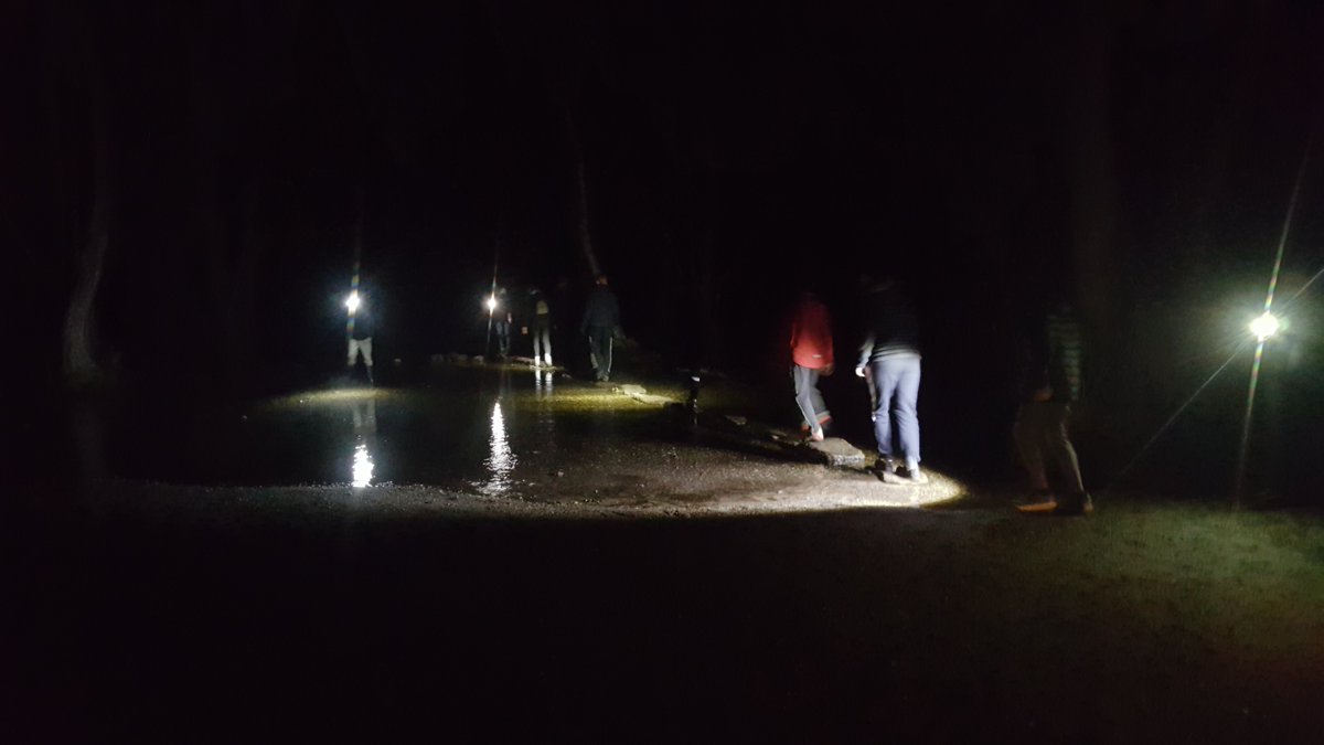SGSSeniorSchool's tweet photo. Well done to 9F who successfully completed their Form Challenge on Friday with a Midnight Walk on Cannock Chase raising Money for 
@KHHospice #SGSDifference #SGSSenior #SGSFitz #SGSYear9 https://t.co/Pf9qpzYTny https://t.co/mSjurYxXJV