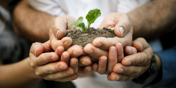 Als deel van onze sociale verantwoordelijkheid streven we naar een duurzame wereld voor onze medewerkers en de gemeenschappen waarin zij leven, dat is één van de waardes van ADP. Lees hier meer over in onze blog: nl.adp.com/kennis/artikel…

#ADPnederland #CSR #mvo #duurzaamheid