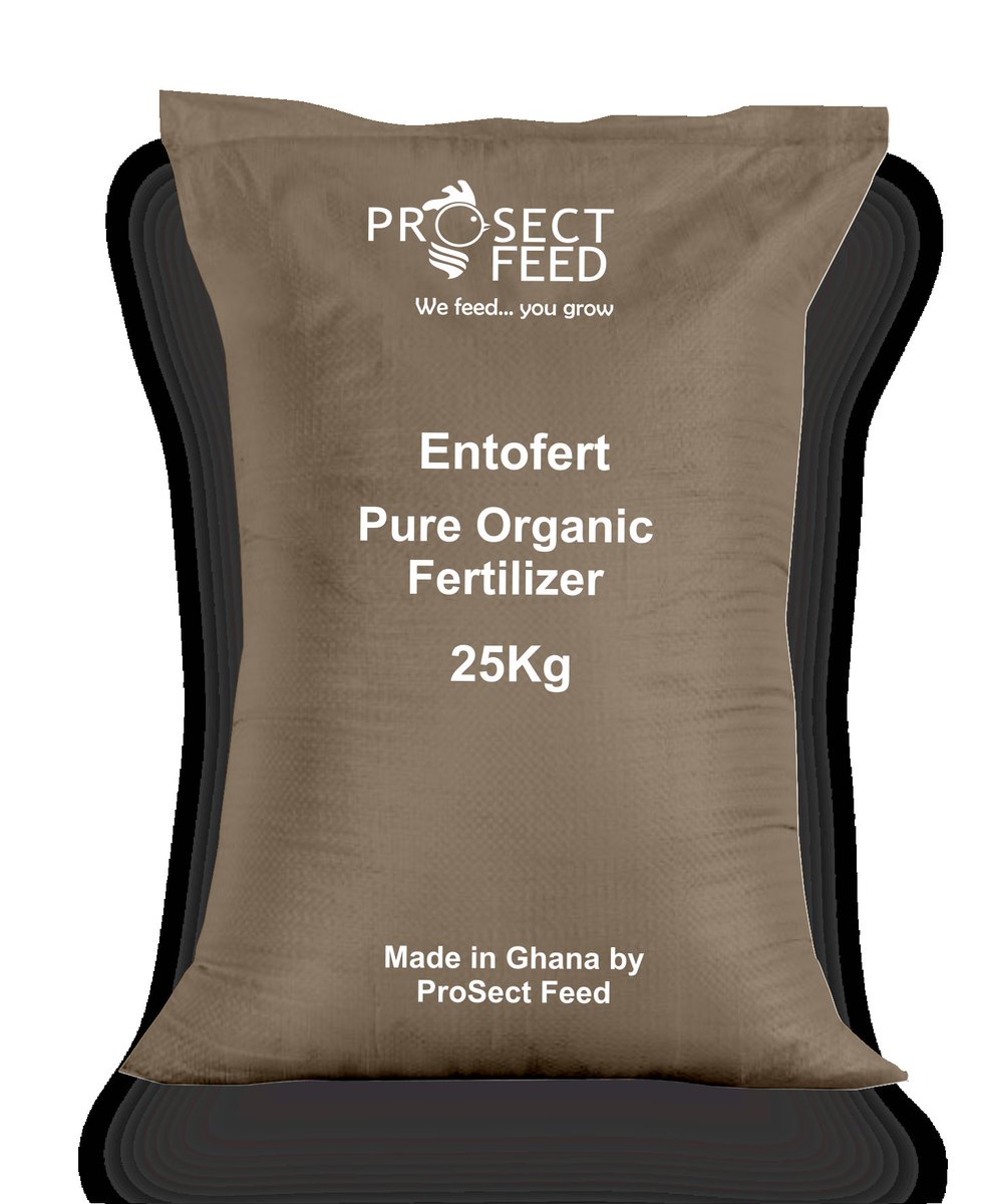 prosect_feed's tweet photo. Need organic fertilizer for your open field or greenhouse farm? Reach out via call or Whatsapp on :0557522799. #organic #fertilizer #prosect #greenhouse #farming #vegetables #crops https://t.co/HVIdFL4VwO