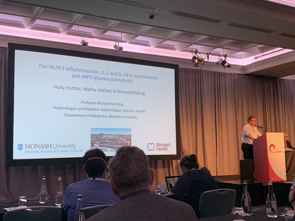 Dr. Kim O’Sullivan (@kim_m_os) on Twitter photo NLPR3 in anti MPO-GN being discussed by <a href="/KitchingLab/">Kitching Laboratory</a> featuring <a href="/hollylhutton/">Holly Hutton</a> and <a href="/malihaalikhan/">Maliha Alikhan</a> work at #Vasculitis22 NLPR3 in anti MPO-GN being discussed by <a href="/KitchingLab/">Kitching Laboratory</a> featuring <a href="/hollylhutton/">Holly Hutton</a> and <a href="/malihaalikhan/">Maliha Alikhan</a> work at #Vasculitis22