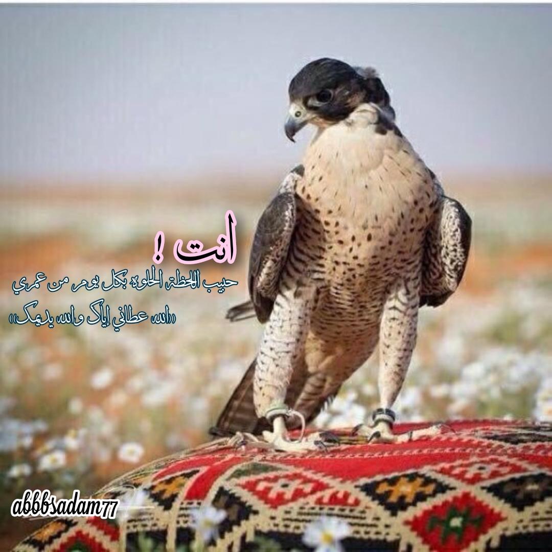 طبعي ضحوك وخاطري دوم مرتاح 
ماشيل في قلبي على الناس حاجة .

#صباح_الخير