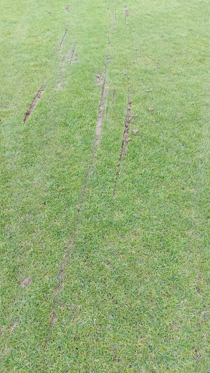 Masham Cricket Club tweet media