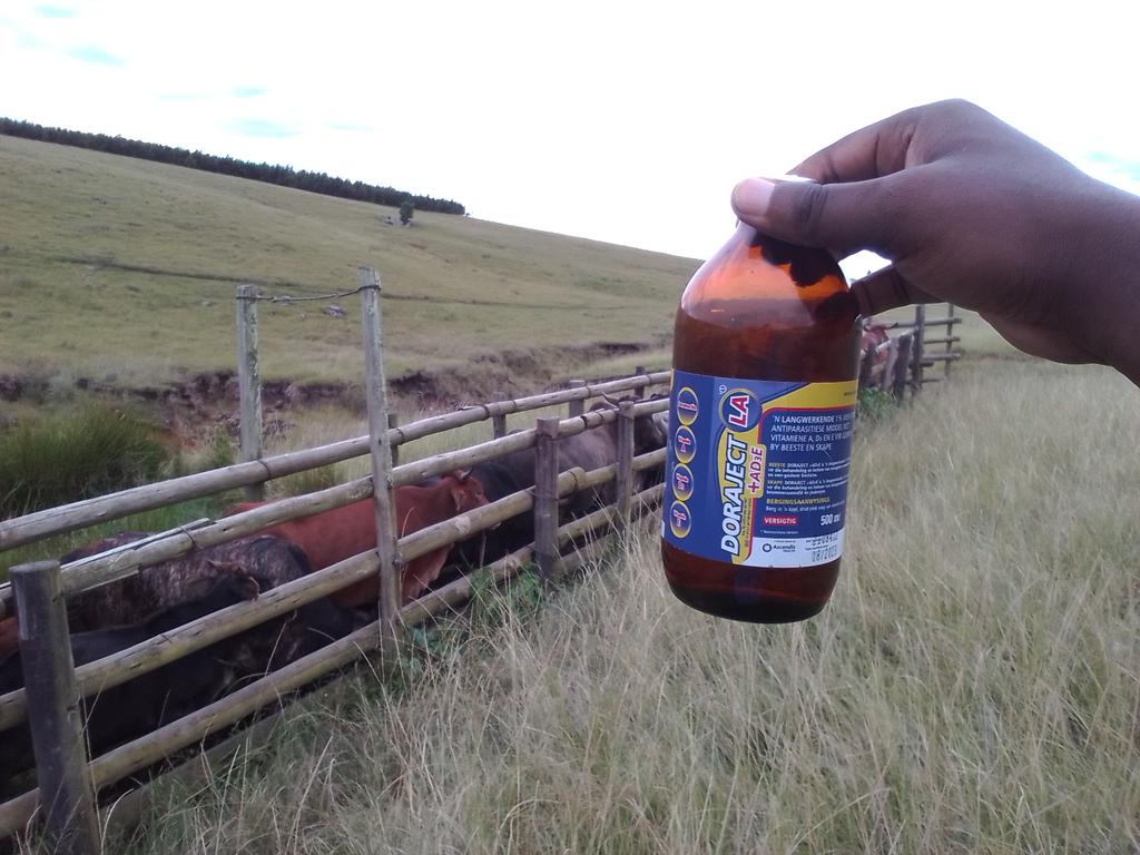 Treating the ticks cz it's bad, no longer controlling.