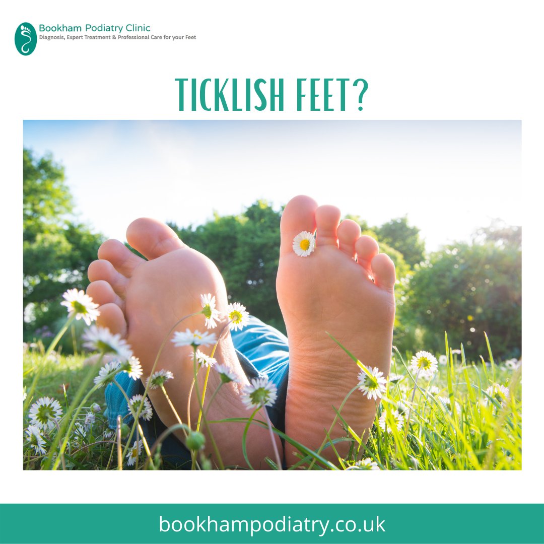 With over 8000 nerves in our feet, there is a very good reason they are often the most ticklish part of our body! #footfacts #funfactfriday #bookhampodiatry #walking #footissues #orthotics #podiatryclinic #surrey #specialists #hippain #anklepain #kneepain #foothealthcare