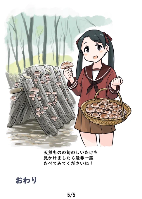 野菜これくしょん ベジこれ 第27弾 しいたけ編2/2 