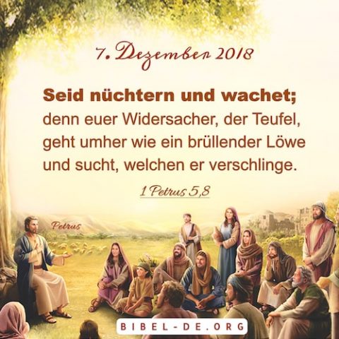 janejane24's tweet photo. eine gute Woche euch allen , liebe Freunde und Demokraten
#PrayingForUkraine 
lasst uns für Frieden beten auf dieser Welt
und den  Opfern des Krieges weltweit gedenken. #PeaceLoveFreedom https://t.co/d7uYME53EH