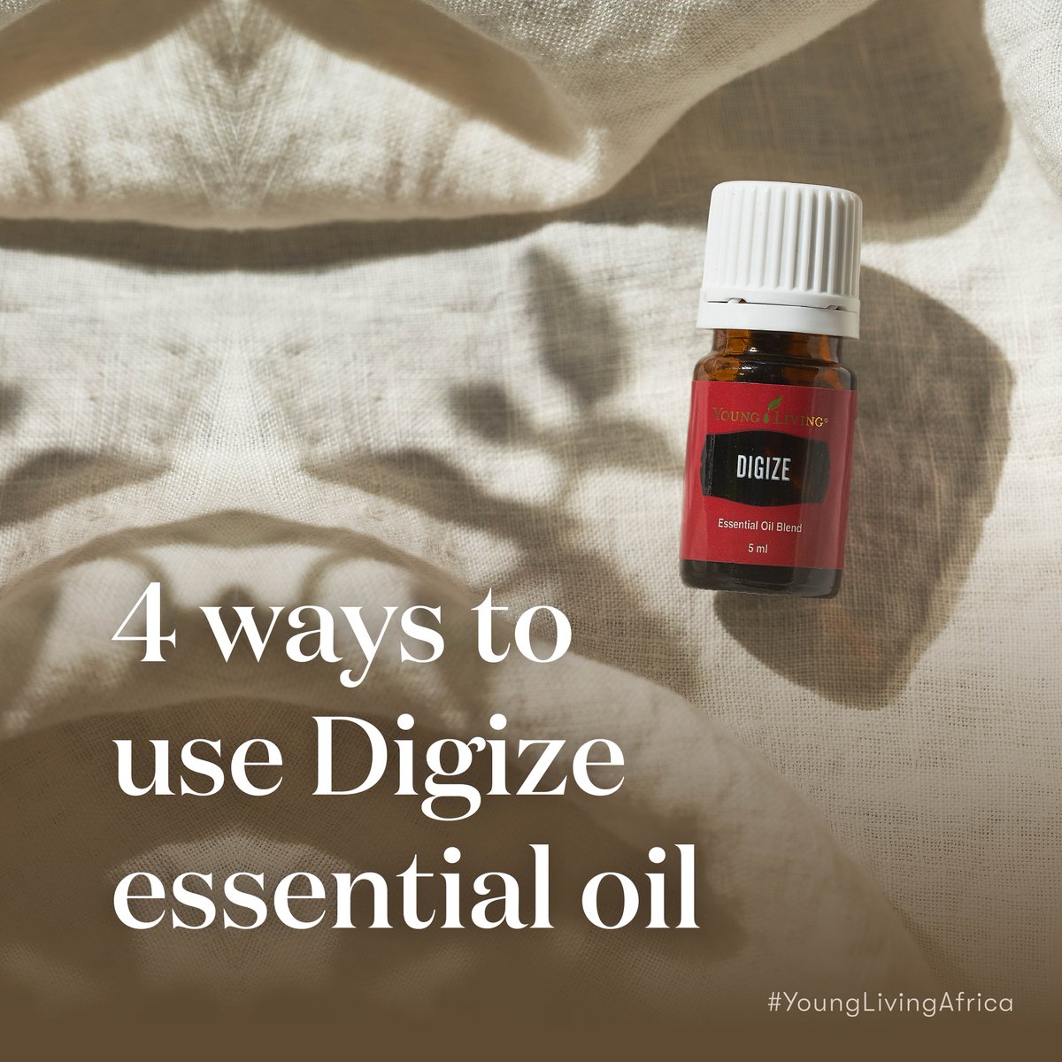 YoungLivingAF's tweet photo. 4 ways to use #Digize essential oil blend ❤️
It forms part of our exclusive #SALifestyleCollection that is available for purchase online and in-store while stocks last! Learn more📲 https://t.co/eWkbipTRx2 🍃💡✨
#NewProductAlert #EssentialOils #YoungLivingAfrica https://t.co/g6TbKoVw7u