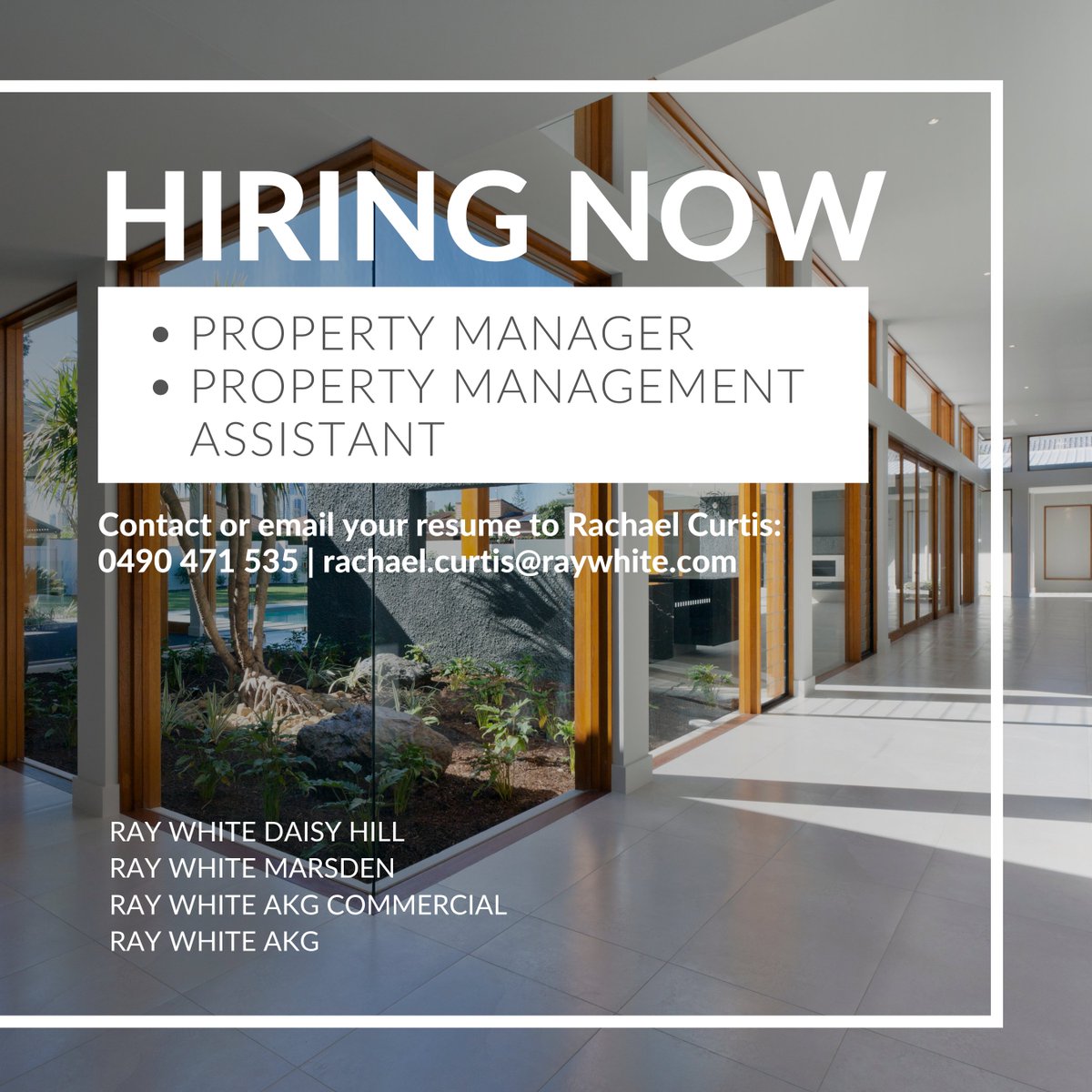 RayWhiteMarsden's tweet photo. Come join our property management team! 
Contact or email your resume to Rachael Curtis: 0490 471 535 | rachael.curtis@raywhite.com
#raywhitemarsden #raywhitedaisyhill #raywhiteakgcommercial #raywhiteakg #hiringnow #propertymanagement https://t.co/qvbfyUbSwg